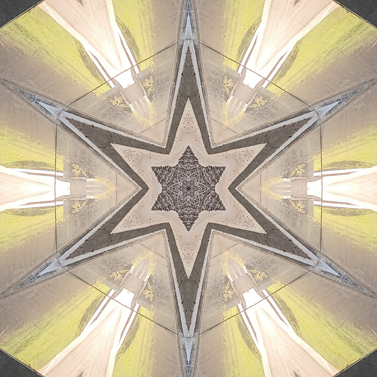 Diamond Sunshine Mandela