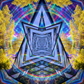 Startree banner