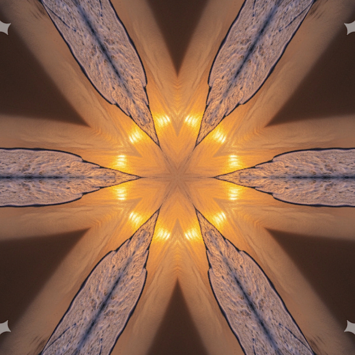 Sun Feathered Star