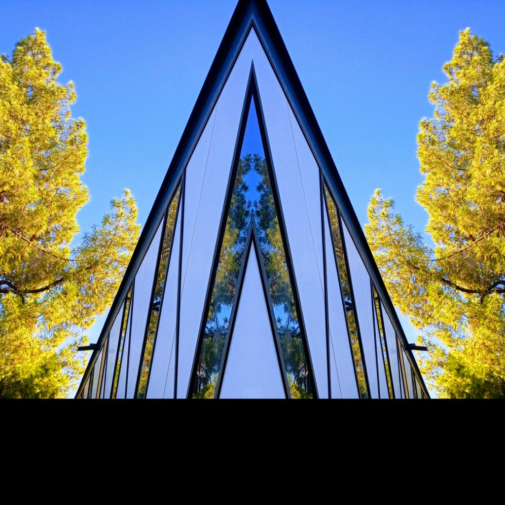 Startree banner